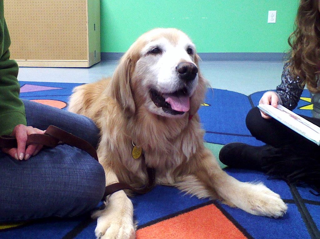 Dig Into Reading with Dug the Therapy Dog 5